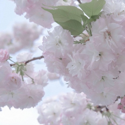 高陵FurryQQ群介绍